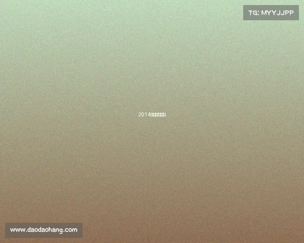 2014年太极锦标赛